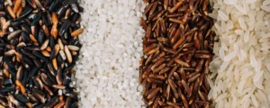 rice-varieties-image-1024x410